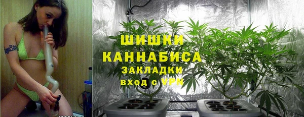 первитин Богданович