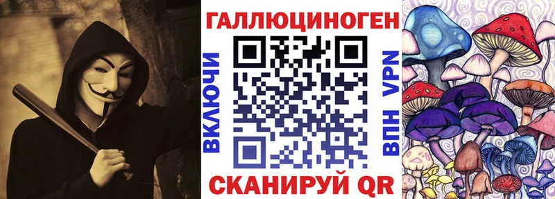 Купить где Мамоново Псилоцибиновые грибы Magic Shrooms
